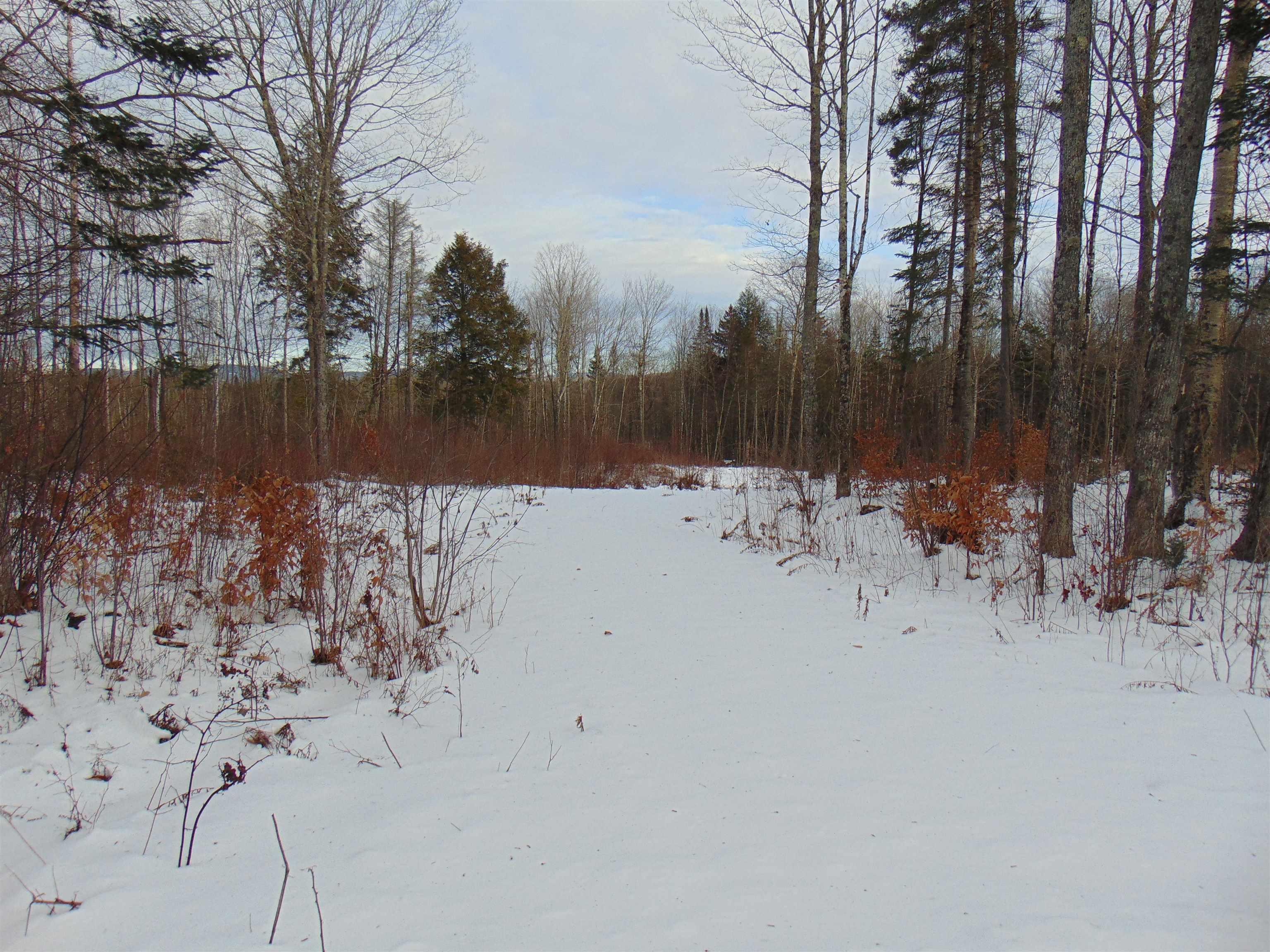 0 Victory Hill Road North Concord, VT 05858 - Photo 1 of 10 Gallery Image 1