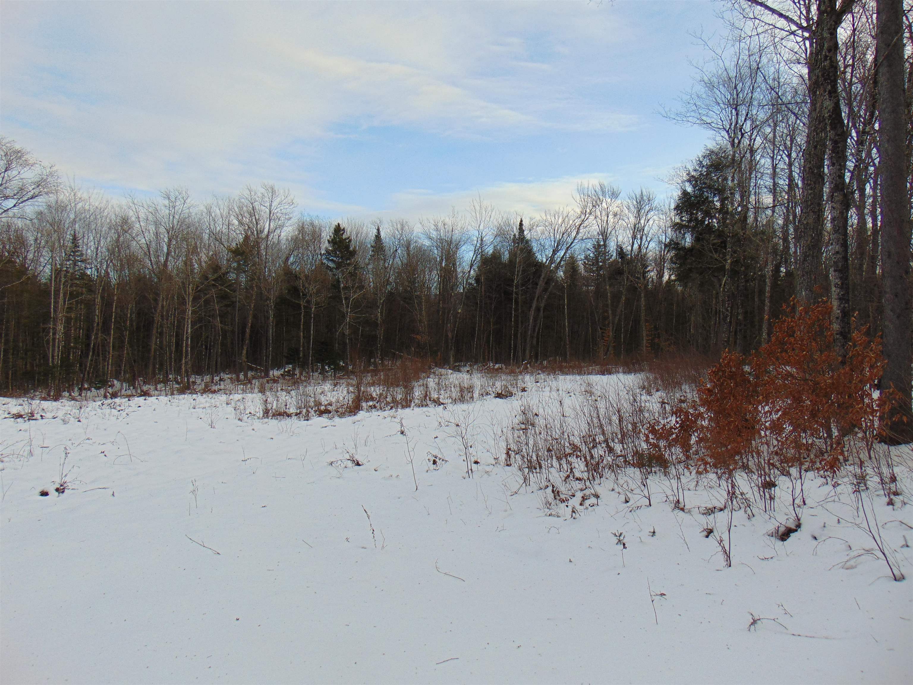 0 Victory Hill Road North Concord, VT 05858 - Photo 4 of 10 Gallery Image 4
