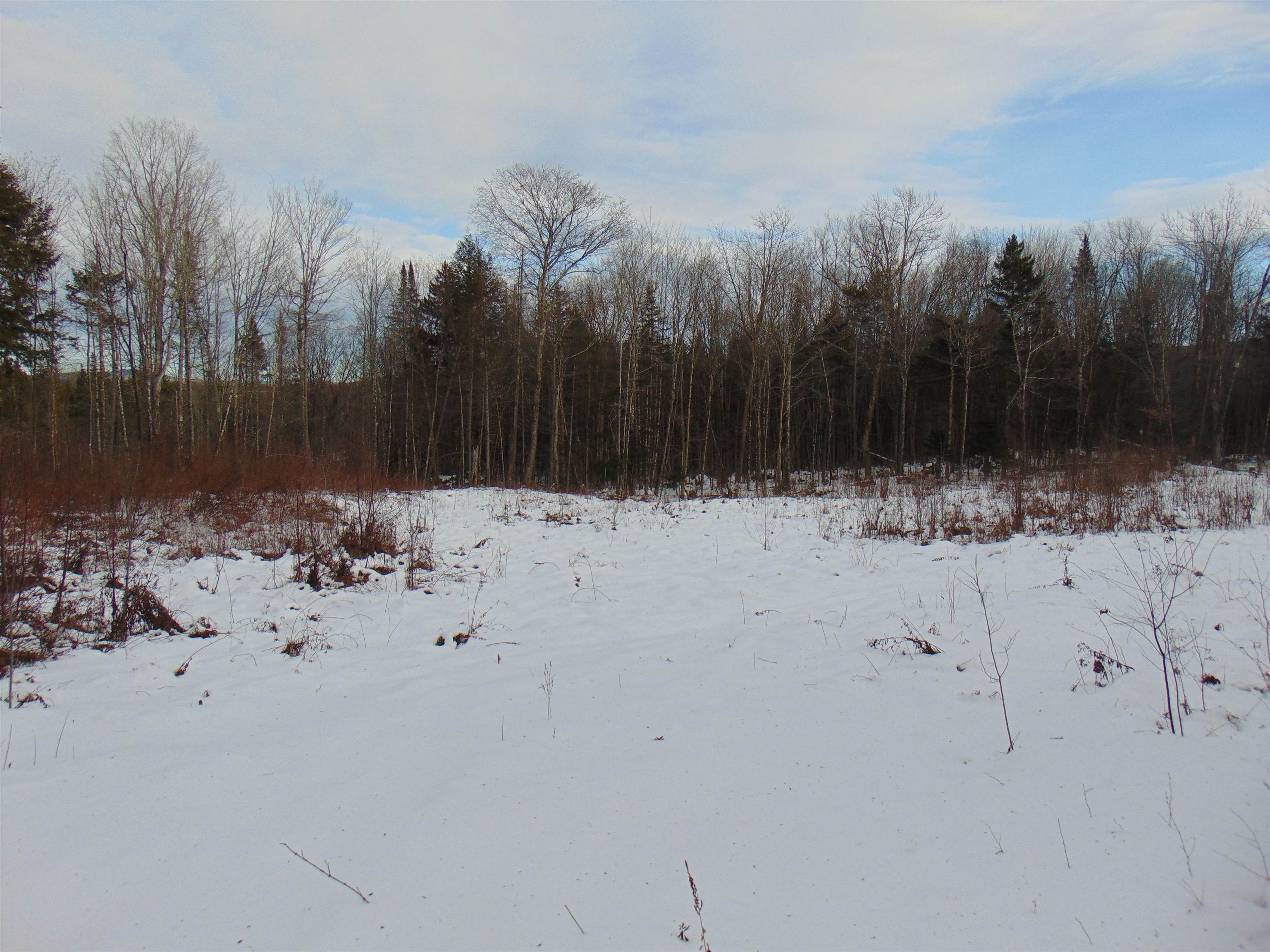 0 Victory Hill Road North Concord, VT 05858 - Photo 5 of 10 Gallery Image 5