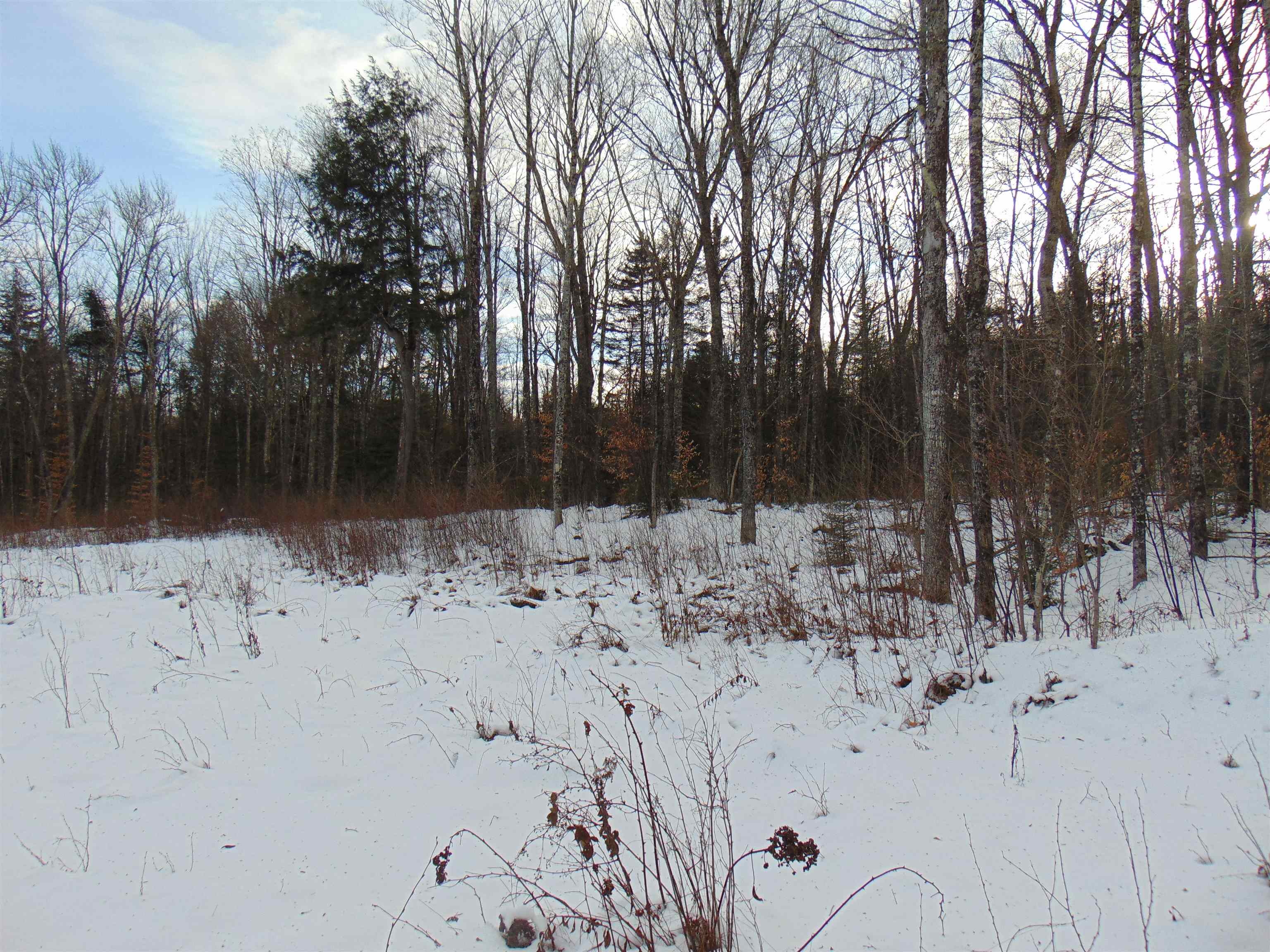 0 Victory Hill Road North Concord, VT 05858 - Photo 6 of 10 Gallery Image 6