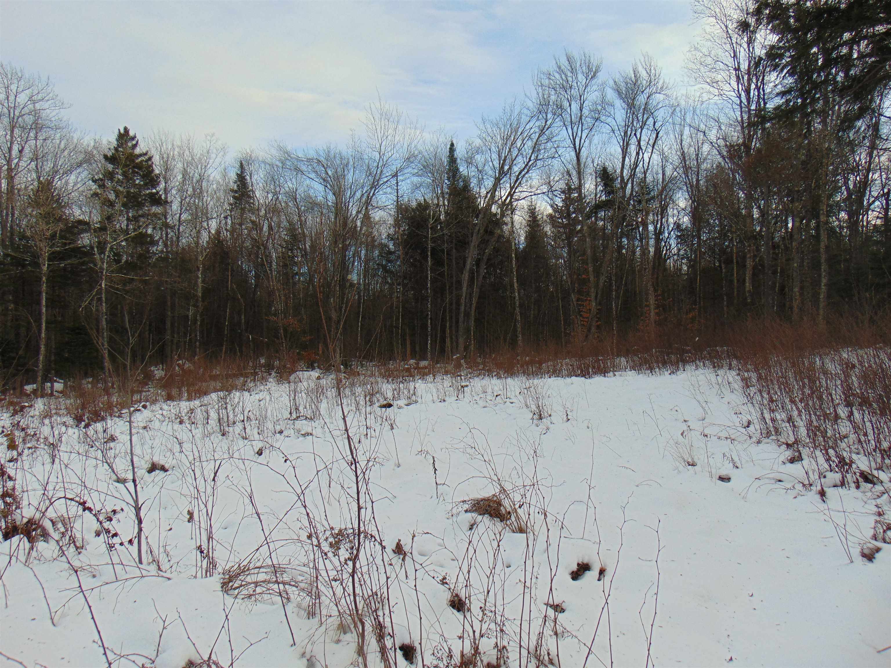 0 Victory Hill Road North Concord, VT 05858 - Photo 7 of 10 Gallery Image 7