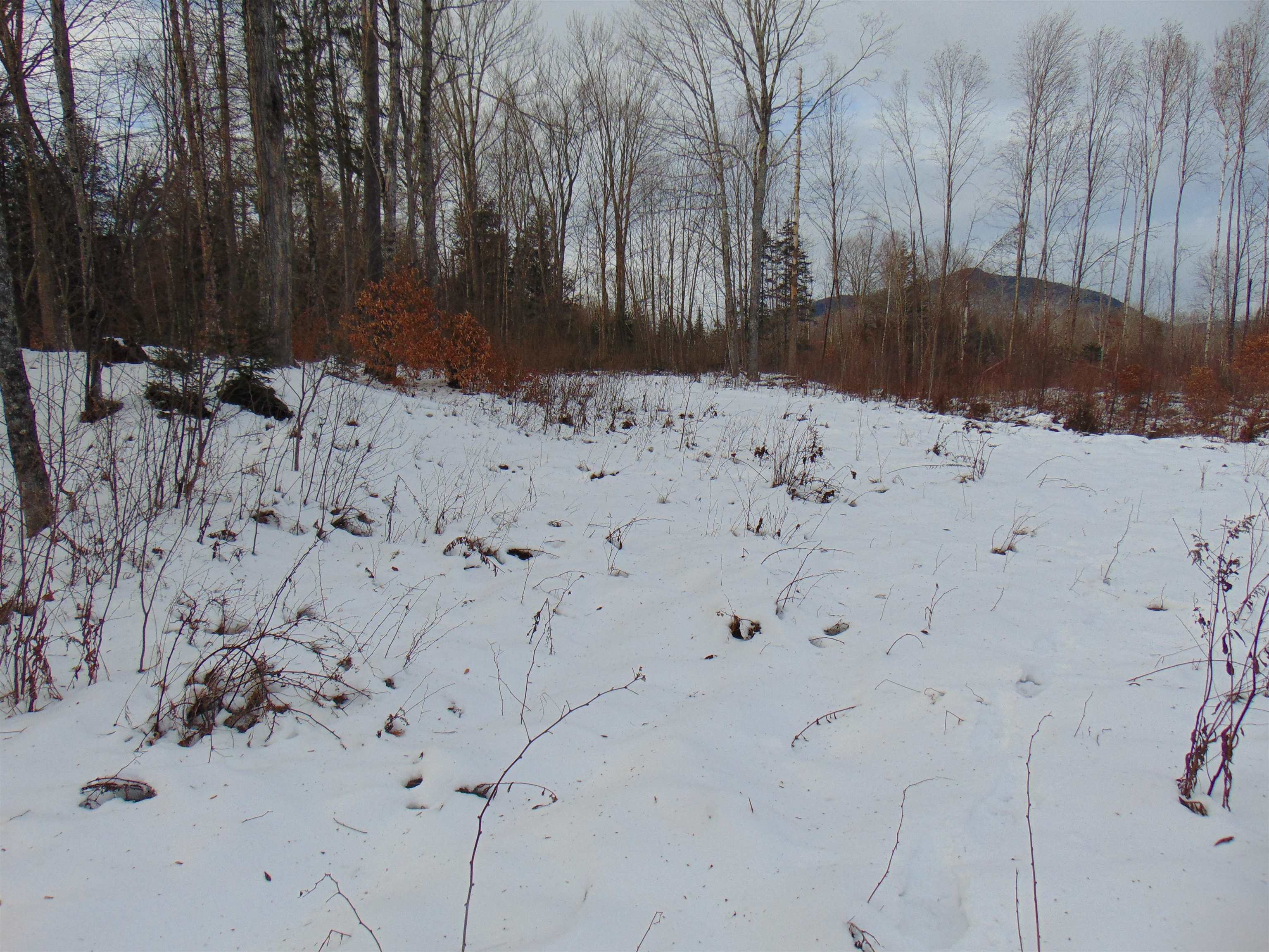 0 Victory Hill Road North Concord, VT 05858 - Photo 8 of 10 Gallery Image 8