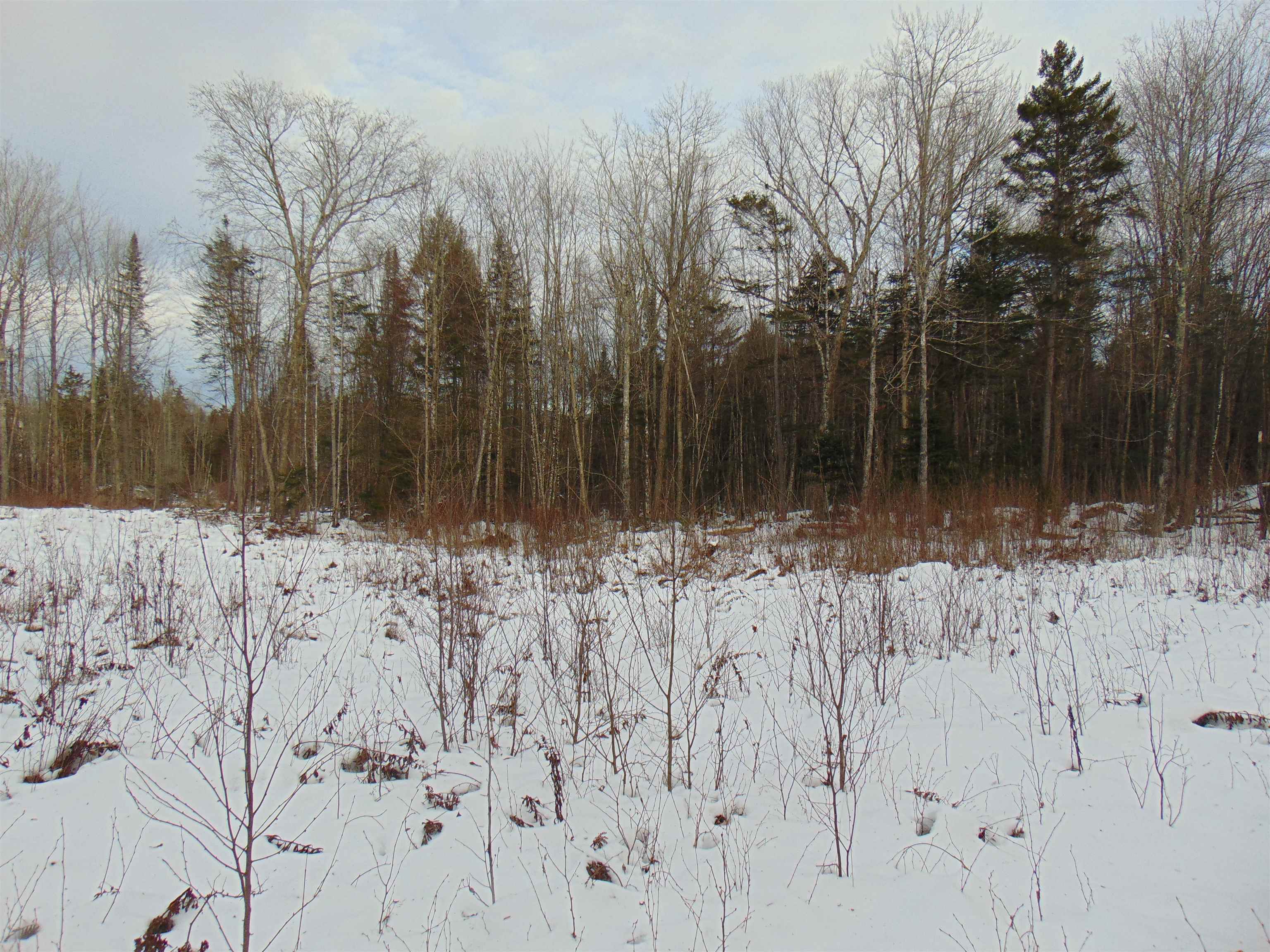0 Victory Hill Road North Concord, VT 05858 - Photo 9 of 10 Gallery Image 9