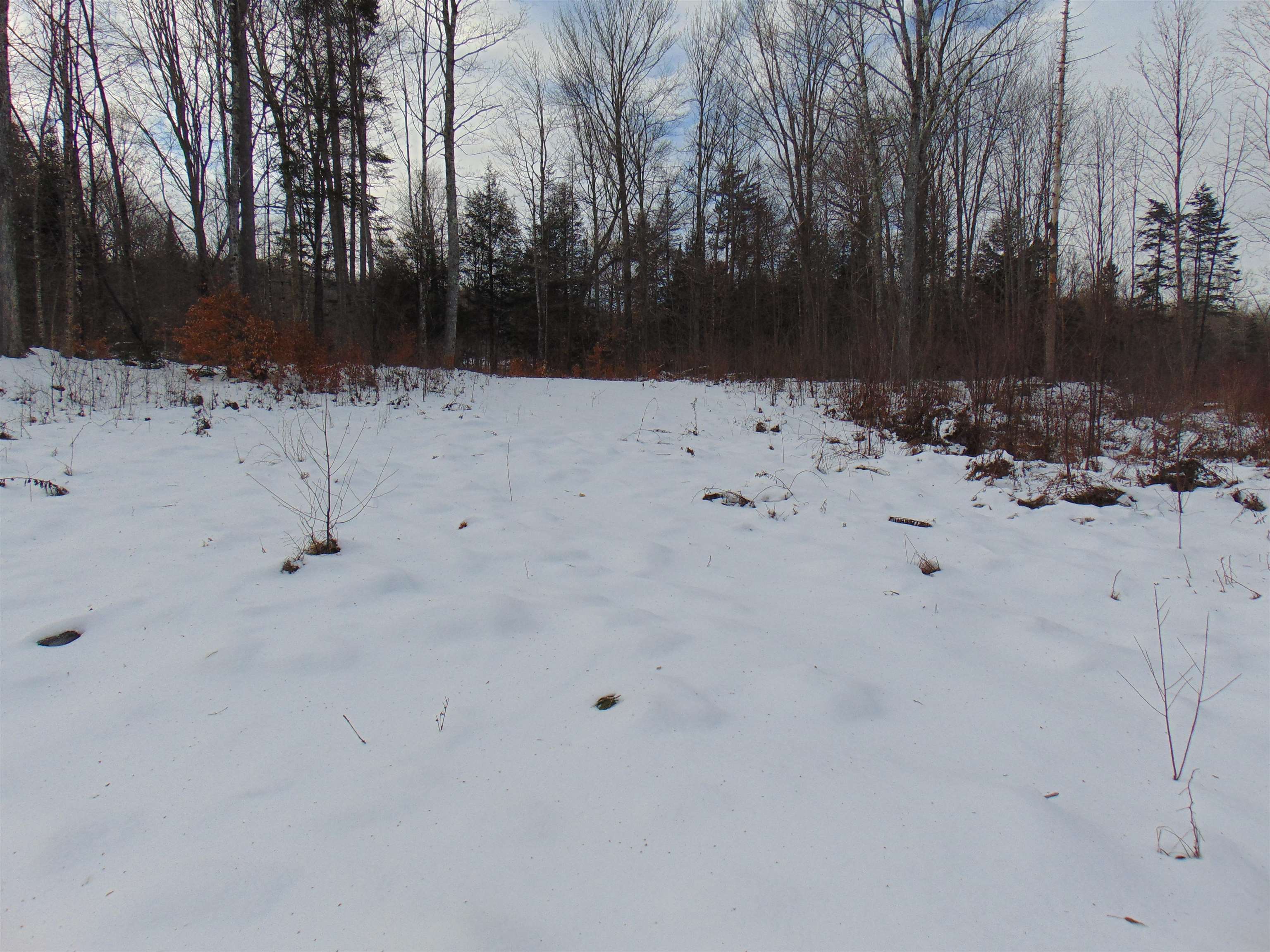 0 Victory Hill Road North Concord, VT 05858 - Photo 10 of 10 Gallery Image 10