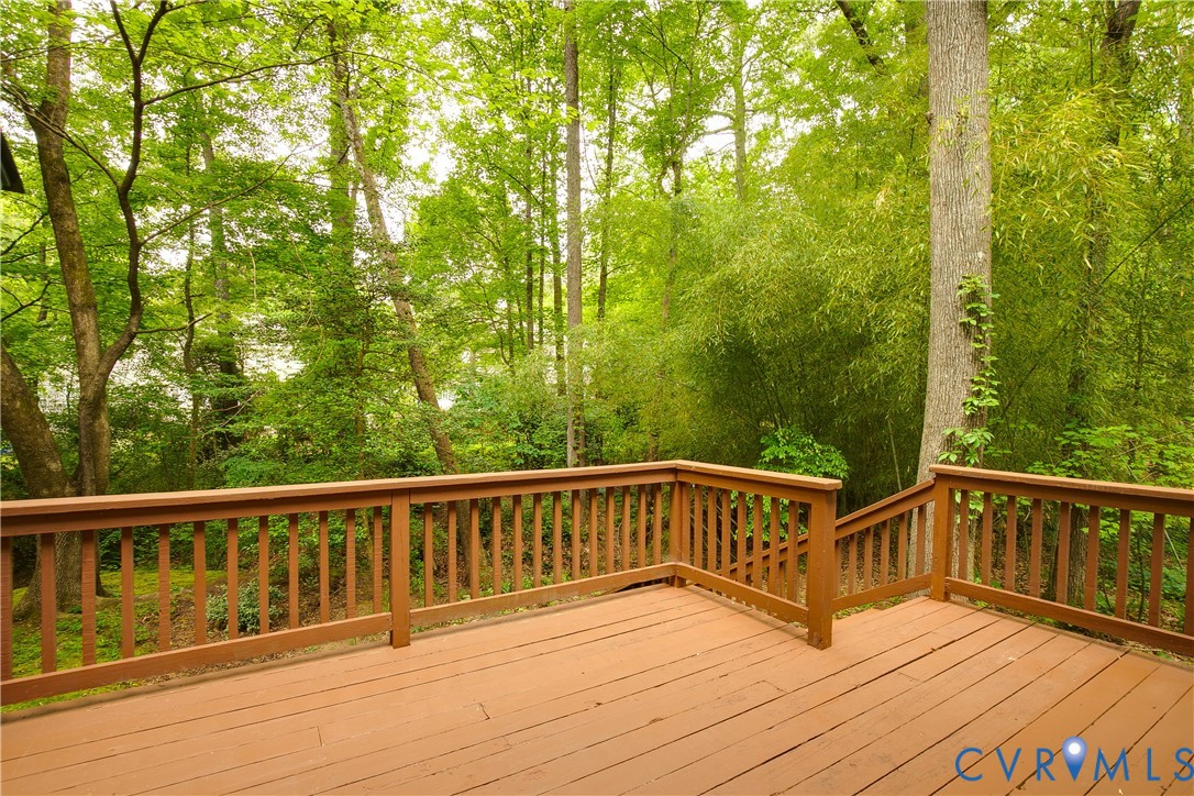 14307 Spring Gate Court Midlothian, VA 23112 - Photo 46 of 53