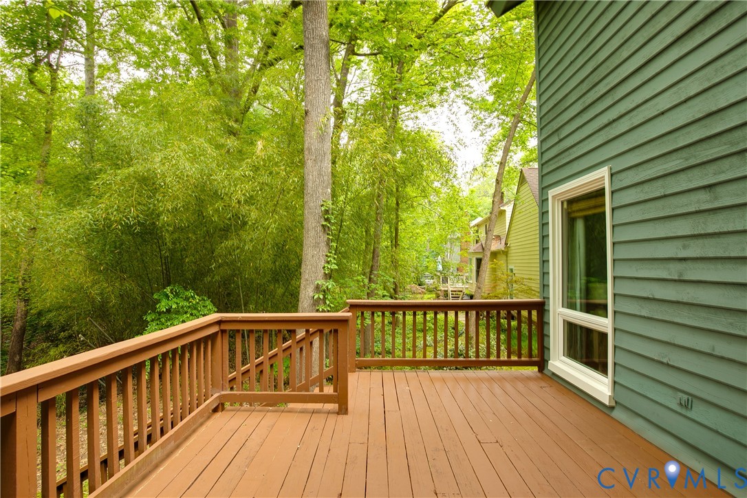 14307 Spring Gate Court Midlothian, VA 23112 - Photo 47 of 53