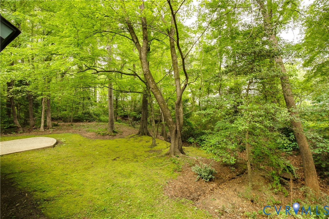 14307 Spring Gate Court Midlothian, VA 23112 - Photo 48 of 53