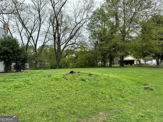 a view of green field