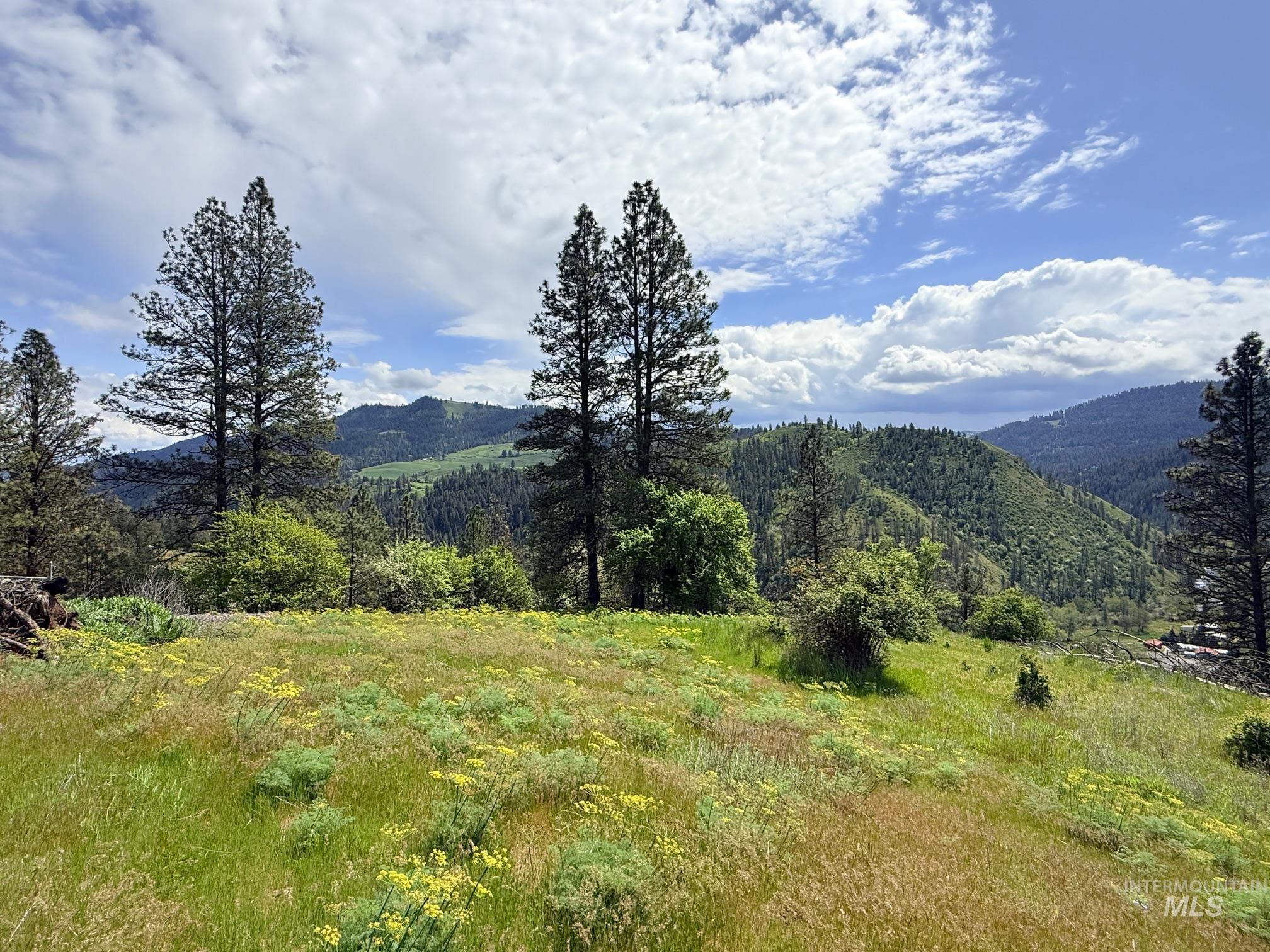 620 Old Peck Grade Lenore, ID 83541 - Photo 41 of 45