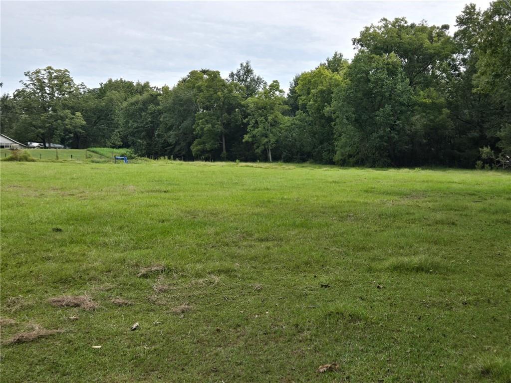 145 Tc Froust Road Marksville, LA 71351 - Photo 6 of 9