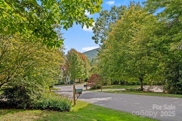a view of a yard with plants and trees