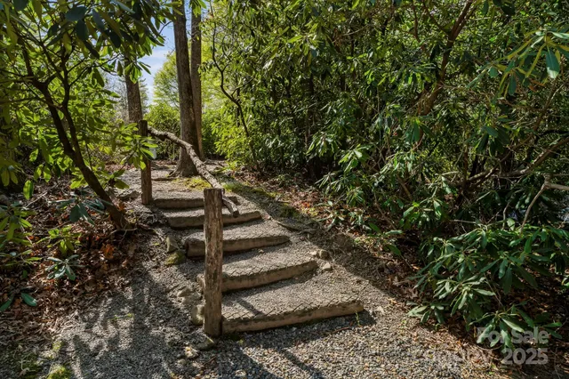 a view of a wooden wall with a lake view