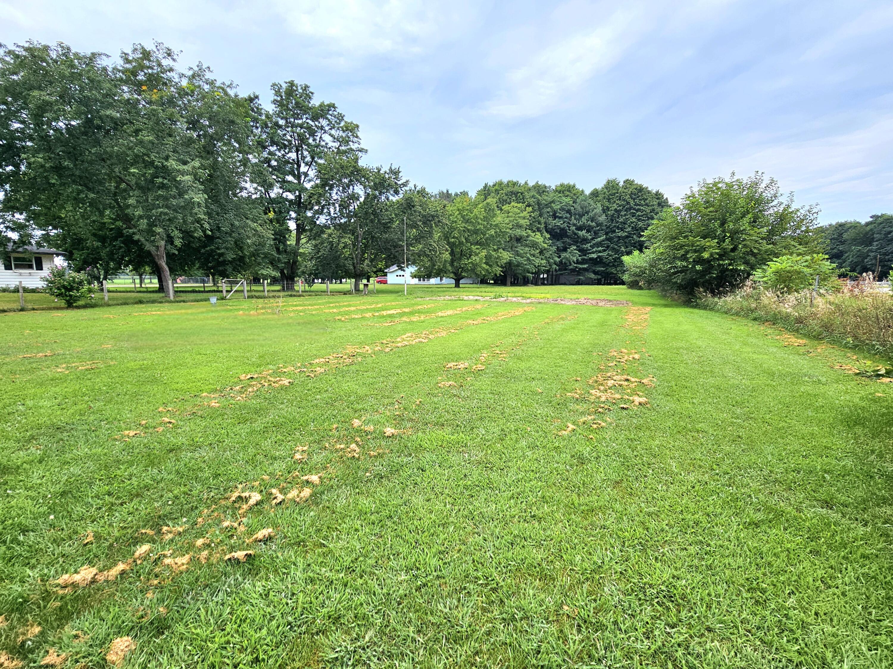 53765 Wilbur Road Three Rivers, MI 49093 - Photo 10 of 28 20240815_092200