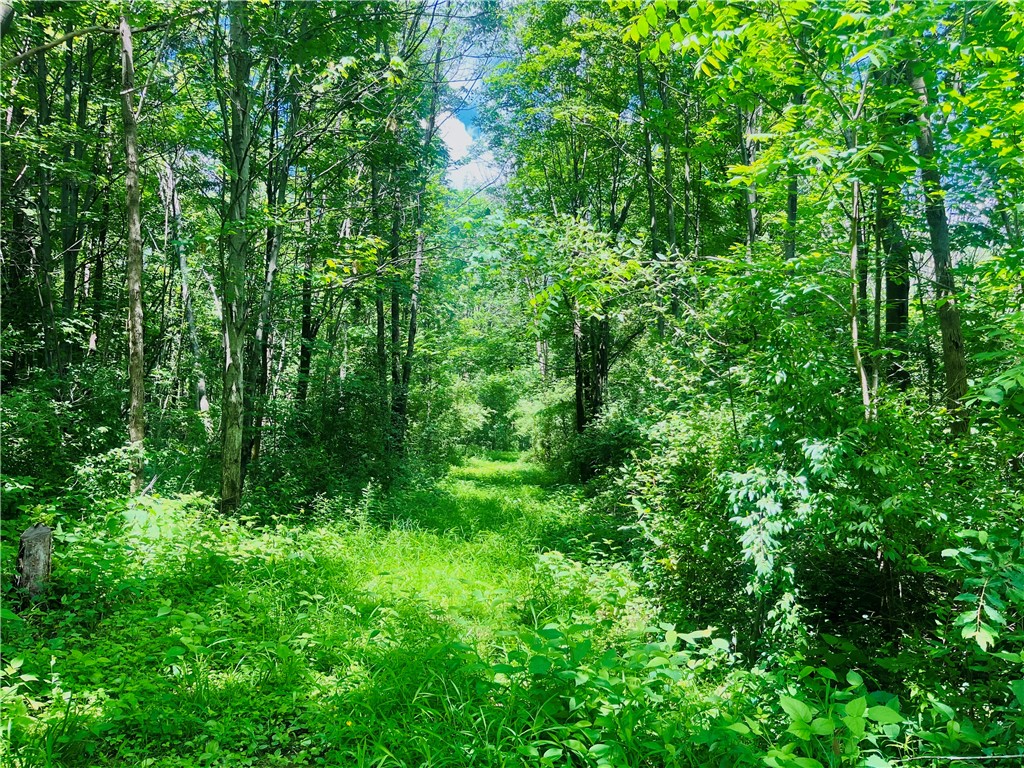 9052 Raspberry Hill Richmond, NY 14466 - Photo 45 of 50 Snowmobile trail