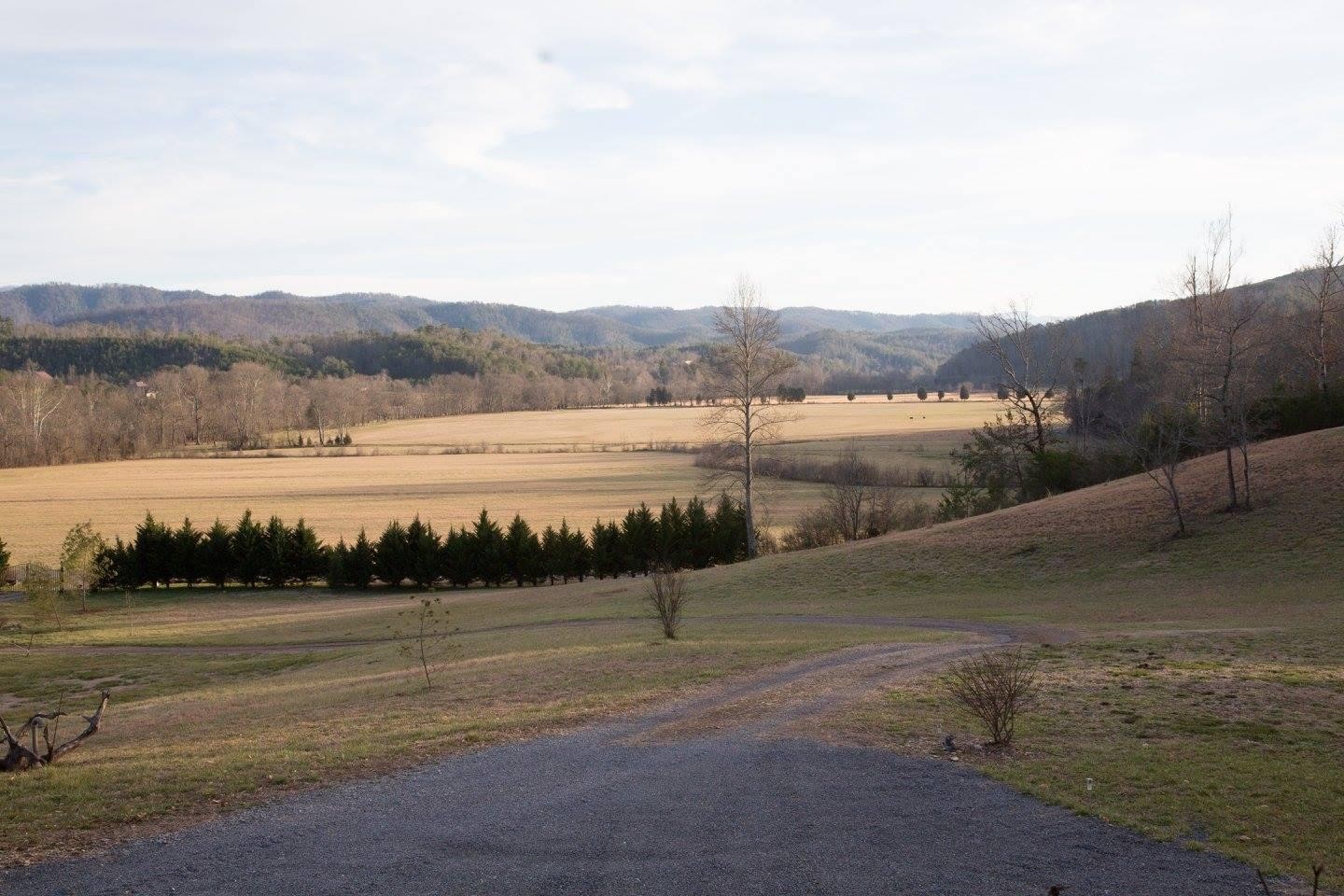 217 Antioch Road Vonore, TN 37885 - Photo 27 of 31 Gallery Image 27