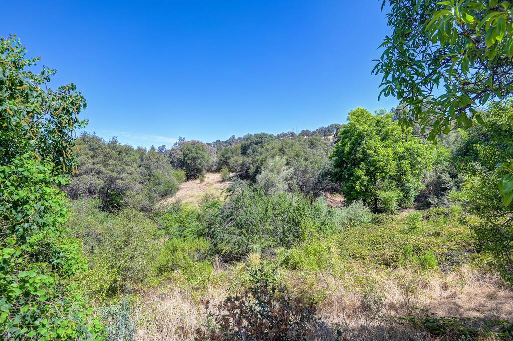 0 Glenview Road Newcastle, CA 95658 - Photo 28 of 87