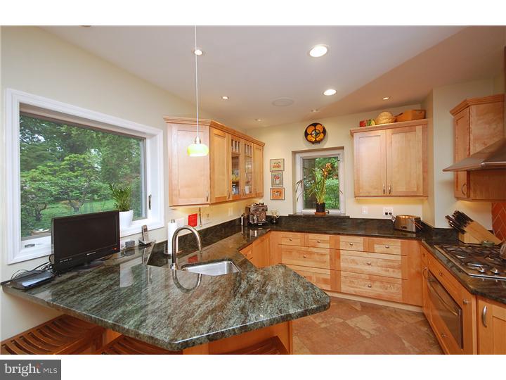 38 Llanberris Road Bala Cynwyd, PA 19004 - Photo 10 of 25 Gallery Image 10