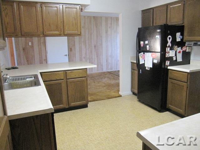 2216 East Carleton Road Adrian, MI 49221 - Photo 3 of 15 Kitchen View