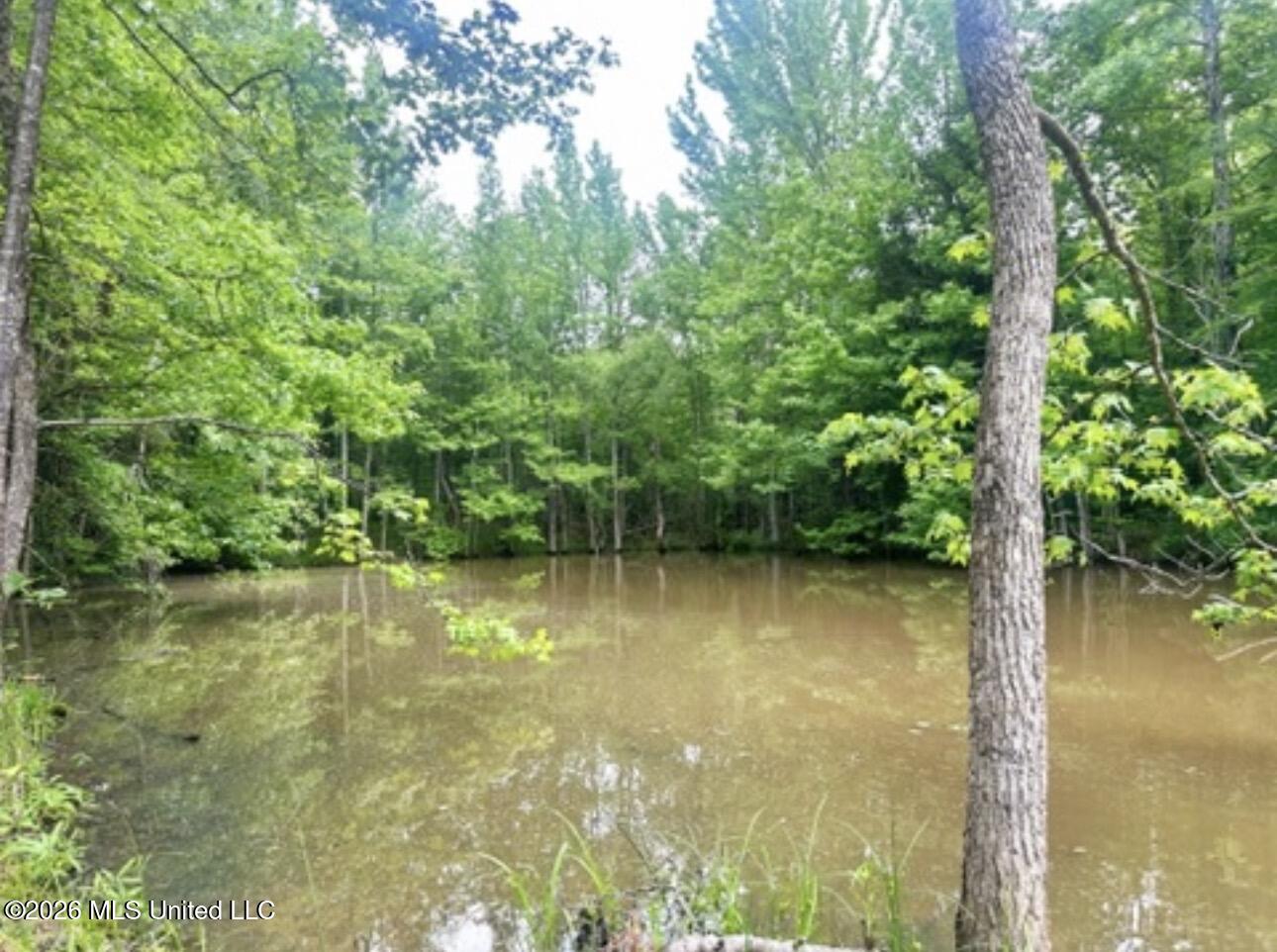 700 Rathell Road Lexington, MS 39095 - Photo 13 of 14 IMG_4031