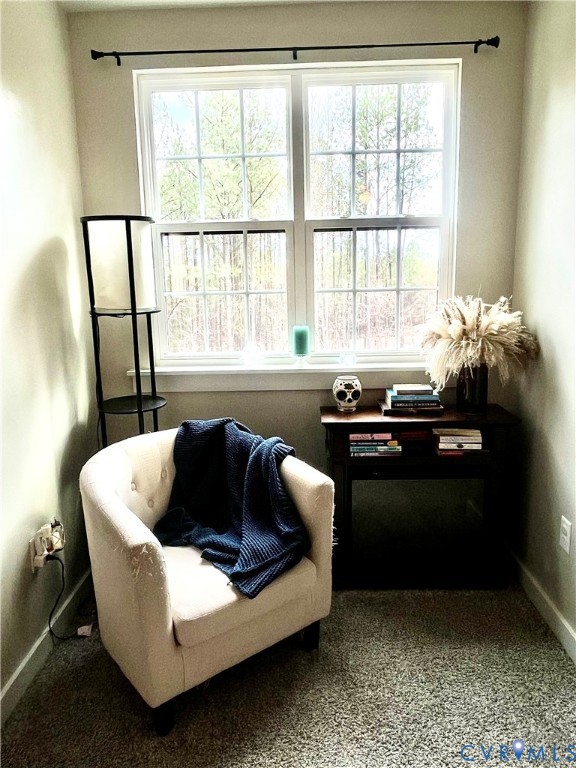 2267 Carys Creek Rd Fork Union Fork Union, VA 23055 - Photo 24 of 25 a living room with furniture and a floor to ceiling window