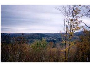 * Moose Mountain Road Pittsburg, NH 03592 - Photo 1 of 1