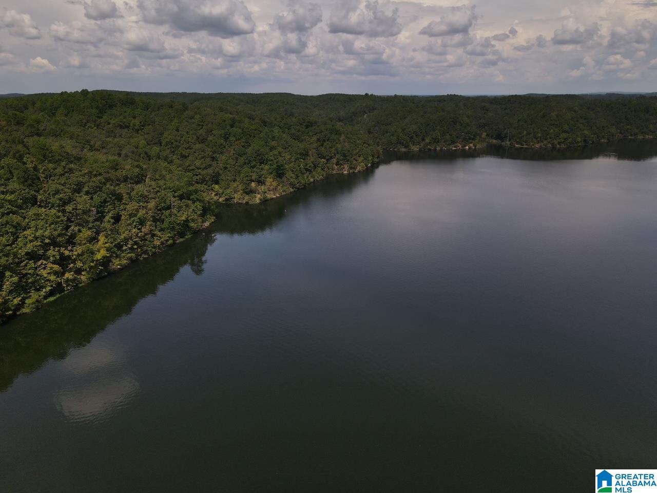 0 County Road 199, Unit 1 Clanton, AL 35046 - Photo 3 of 5