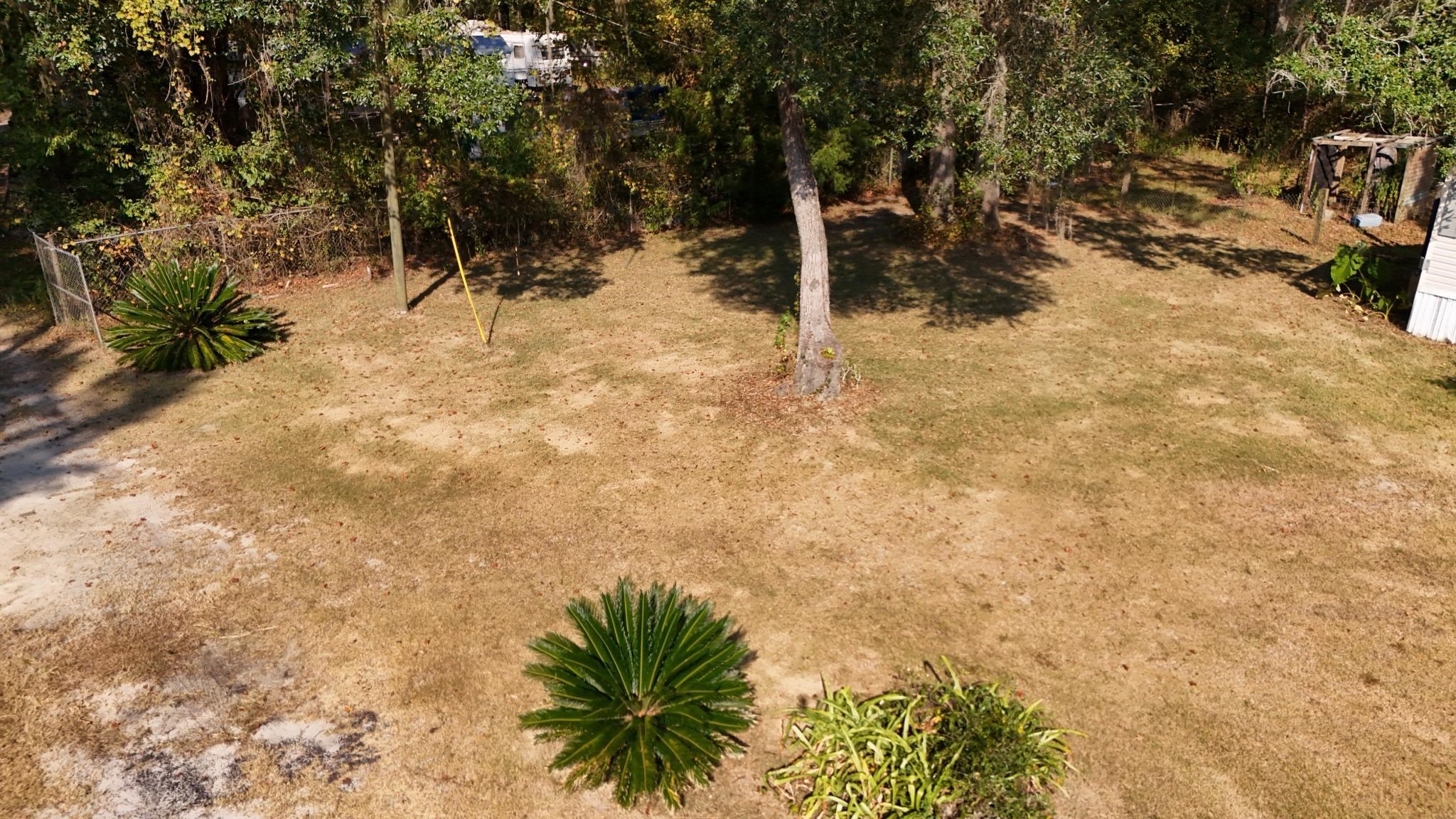 1309 Cook Road Lamont, FL 32336 - Photo 11 of 13