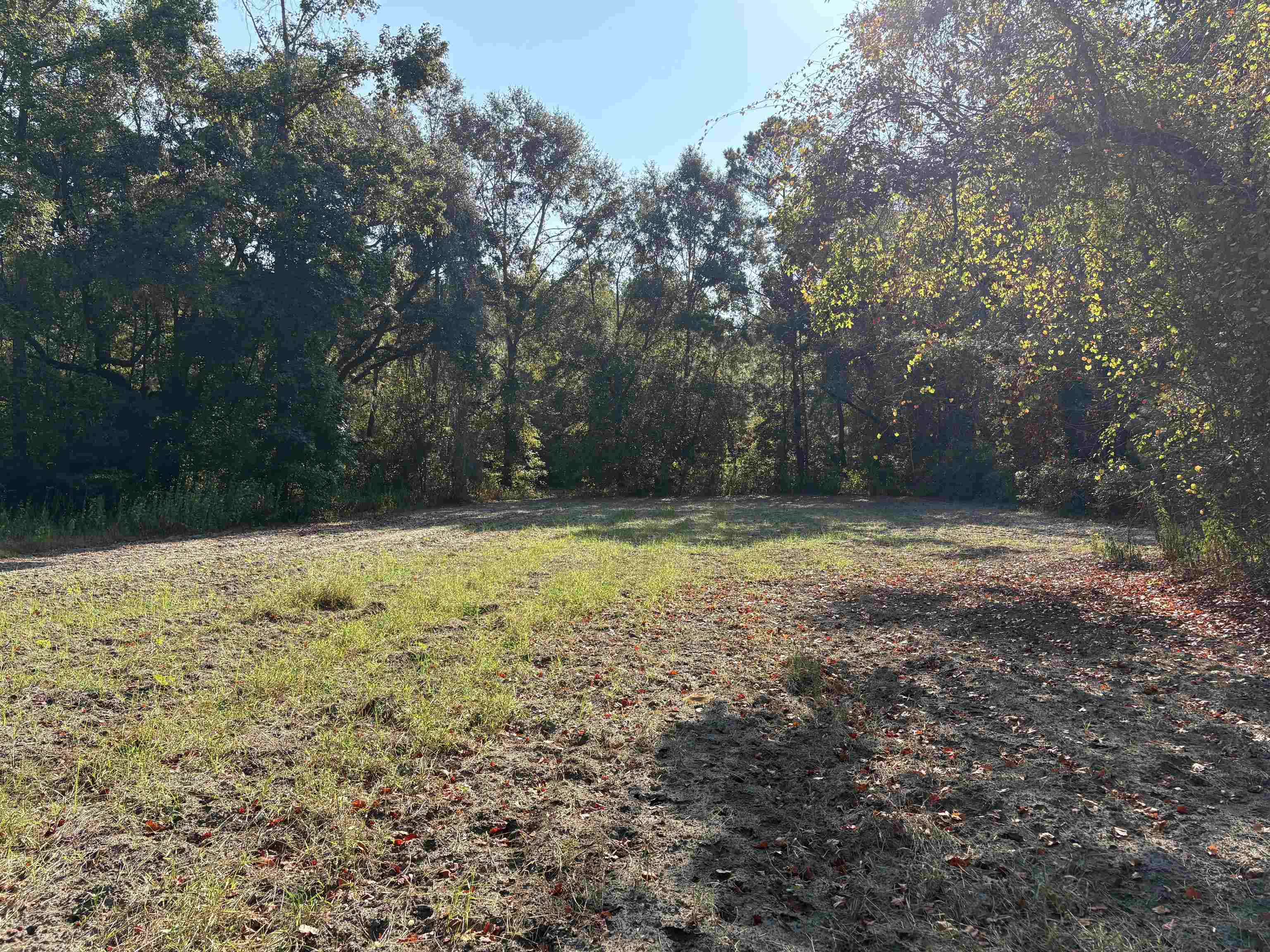 1309 Cook Road Lamont, FL 32336 - Photo 3 of 13