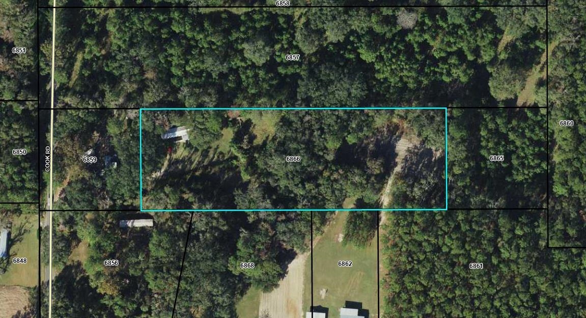 1309 Cook Road Lamont, FL 32336 - Photo 4 of 13