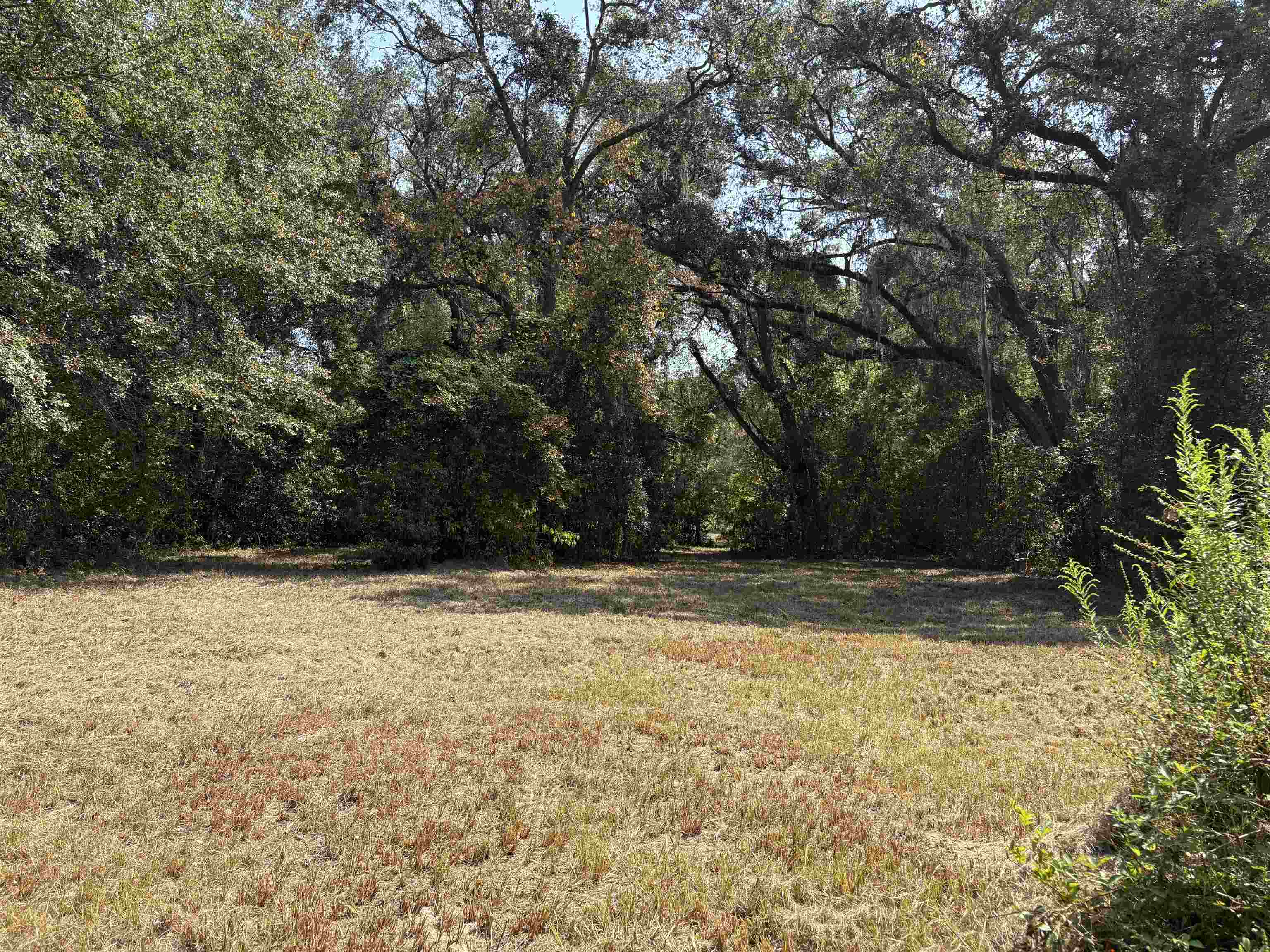 1309 Cook Road Lamont, FL 32336 - Photo 8 of 13
