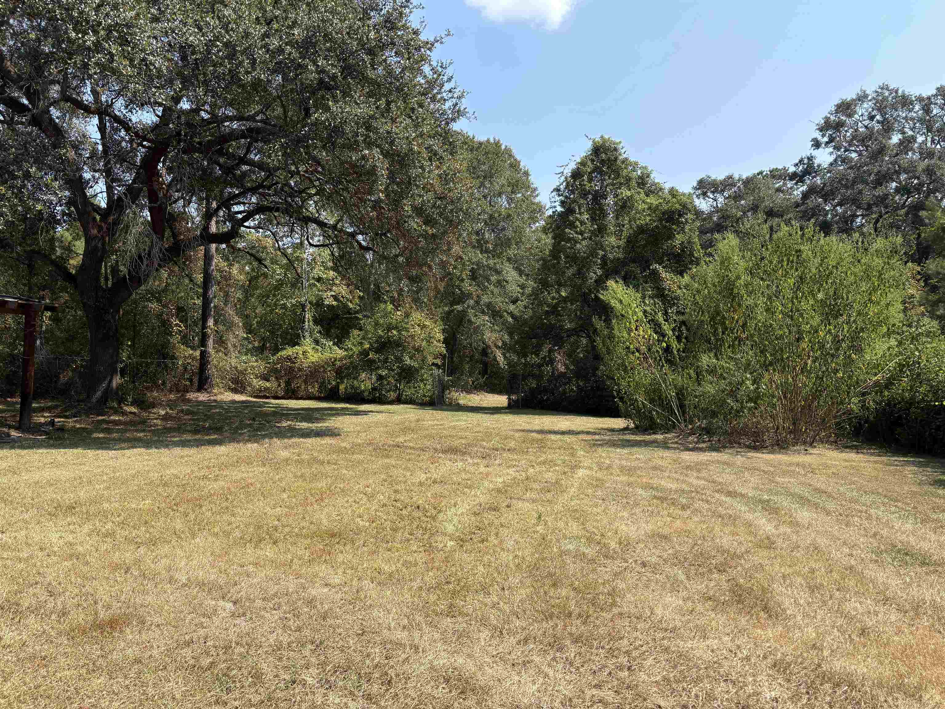 1309 Cook Road Lamont, FL 32336 - Photo 9 of 13