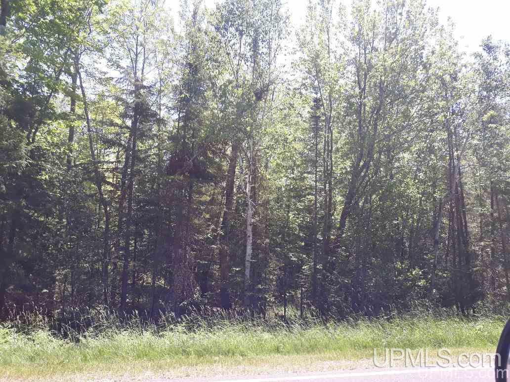 19699 Point Abbaye Road Lanse, MI 49946 - Photo 6 of 12