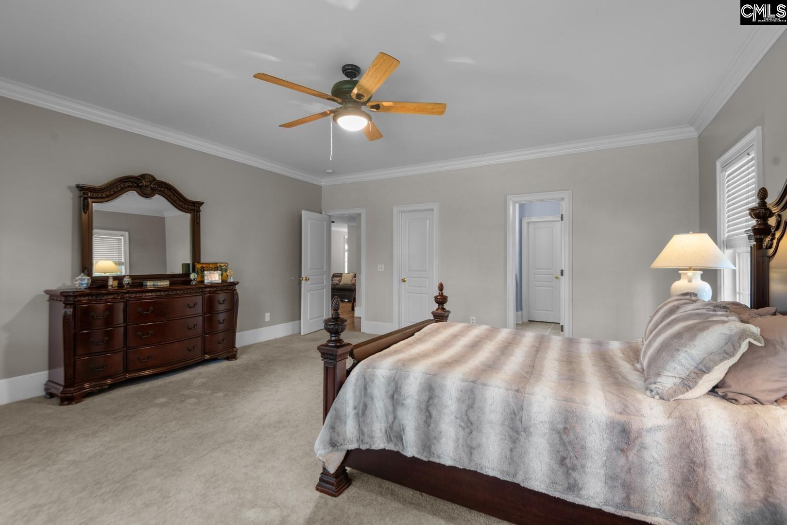 115 Pointe Overlook Drive Chapin, SC 29036 - Photo 21 of 45