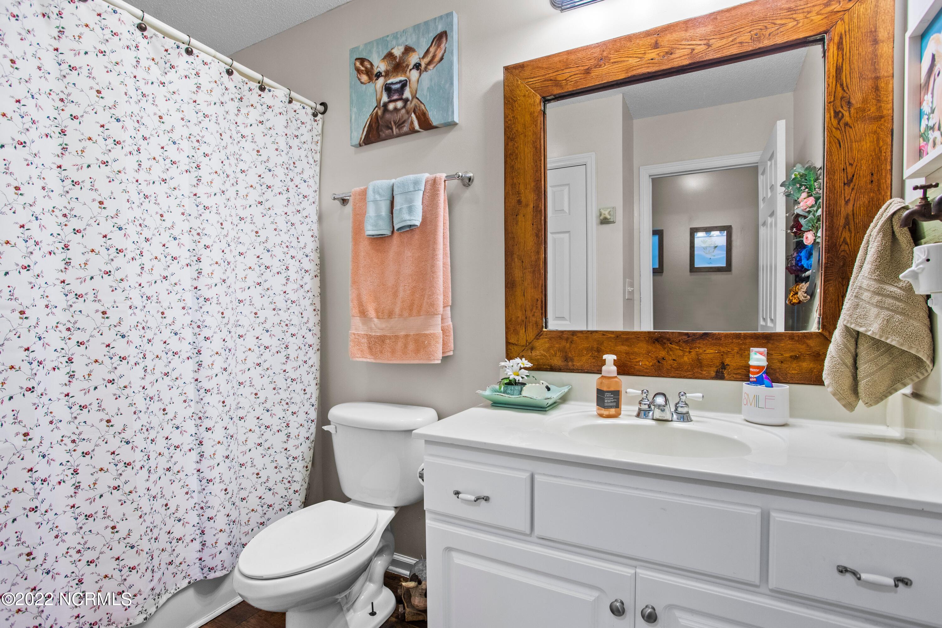 1388 Deppe Loop Road Maysville, NC 28555 - Photo 26 of 29 guest bathroom
