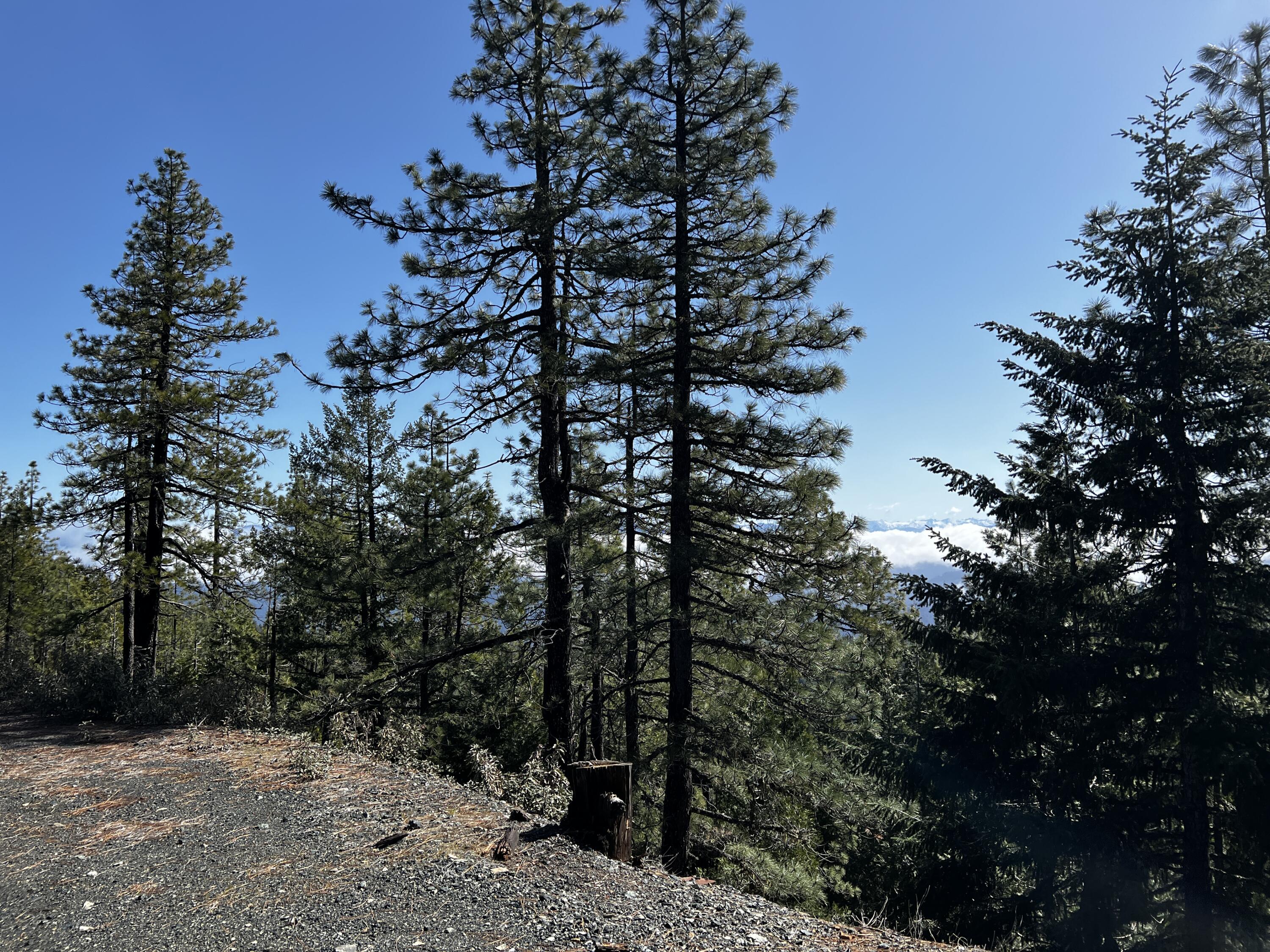 Three New 3 Creeks Road Blue Lake, CA 95525 - Photo 12 of 23