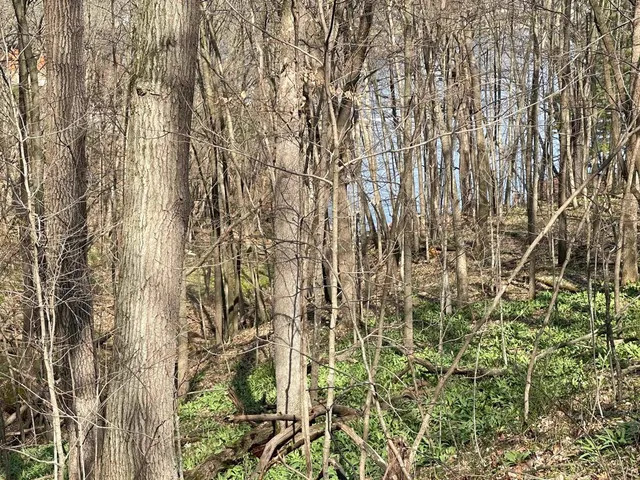 $21,900 | Lt 32-goldfinch West Lt 32-goldfinch W Redstone La, La Valle, WI 53941