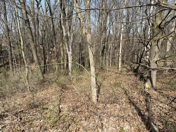 $21,900 | Lt 32-goldfinch West Lt 32-goldfinch W Redstone La, La Valle, WI 53941