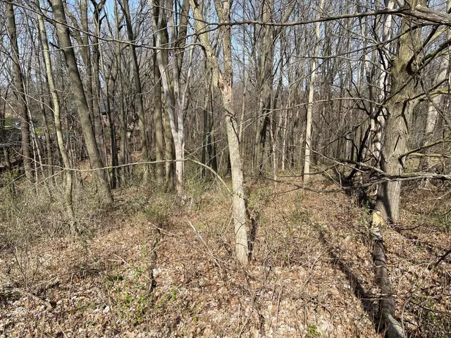 $21,900 | Lt 32-goldfinch West Lt 32-goldfinch W Redstone La, La Valle, WI 53941