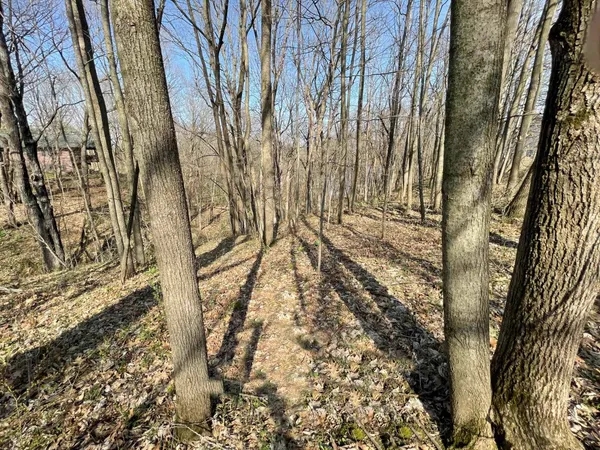 $21,900 | Lt 32-goldfinch West Lt 32-goldfinch W Redstone La, La Valle, WI 53941