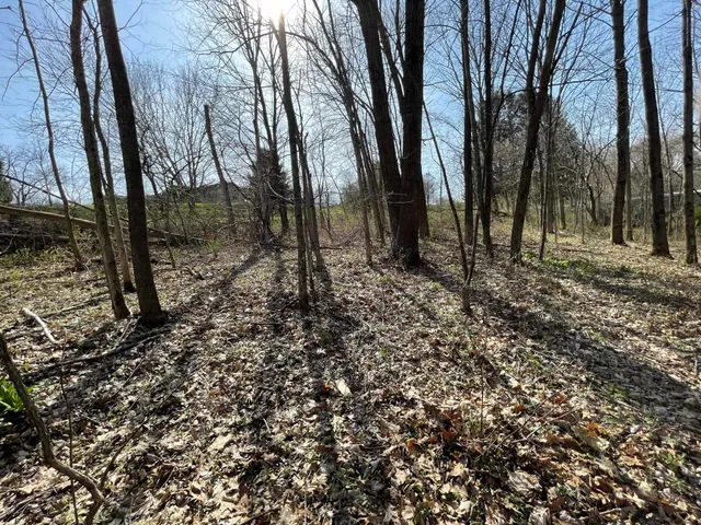 $21,900 | Lt 32-goldfinch West Lt 32-goldfinch W Redstone La, La Valle, WI 53941