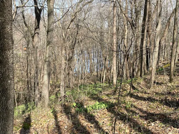 $21,900 | Lt 32-goldfinch West Lt 32-goldfinch W Redstone La, La Valle, WI 53941