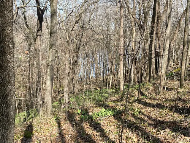 $21,900 | Lt 32-goldfinch West Lt 32-goldfinch W Redstone La, La Valle, WI 53941