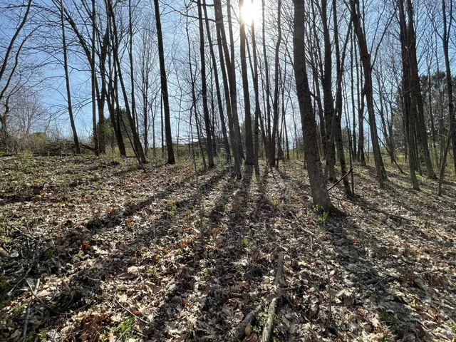 $21,900 | Lt 32-goldfinch West Lt 32-goldfinch W Redstone La, La Valle, WI 53941