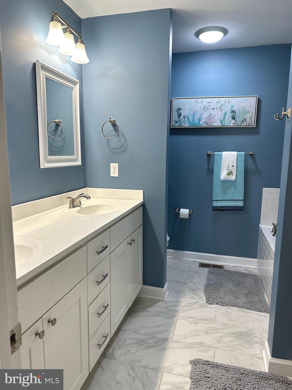 11220 Shane Circle Ridgely, MD 21660 - Photo 14 of 28 Soaking Tub and Stand up shower