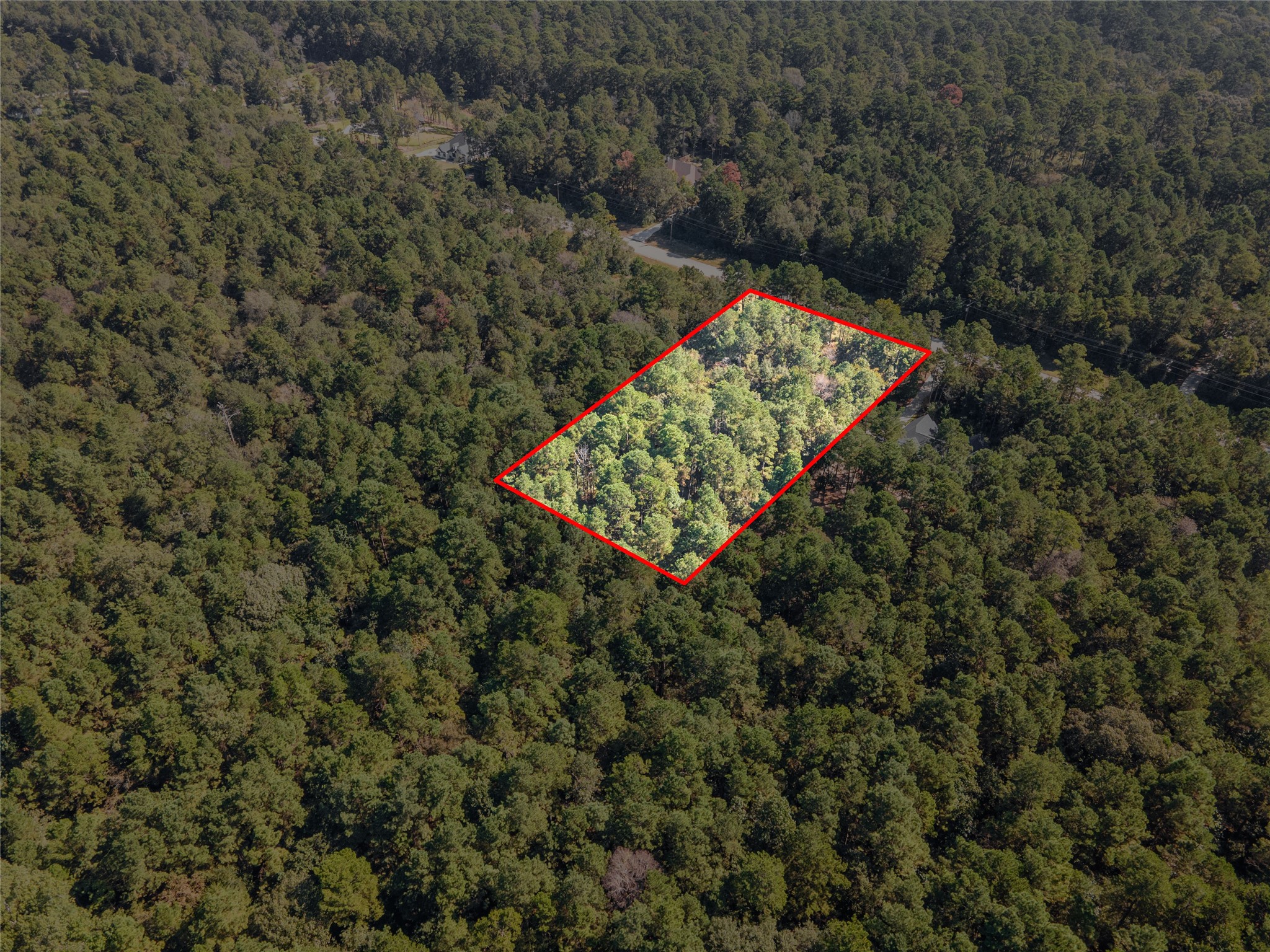 185 Rim Rock Road Huntsville, TX 77340 - Photo 8 of 18 This aerial view shows all of the mature trees surrounding your future property.