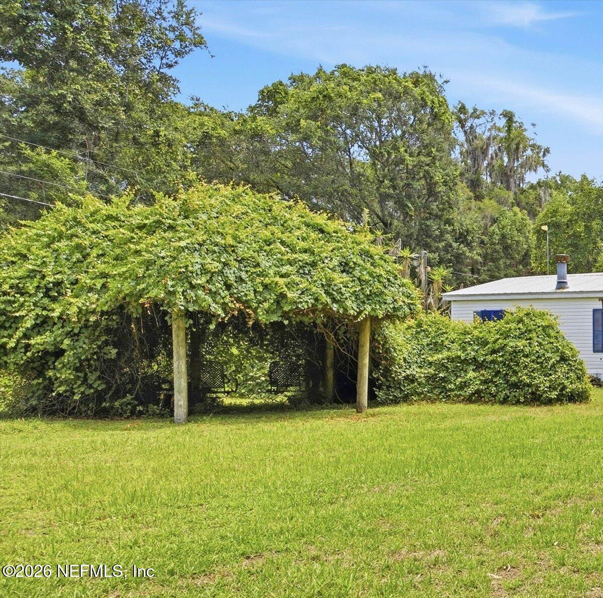 508 Georgetown Shortcut Road Georgetown, FL 32139 - Photo 26 of 32 26-Arbor