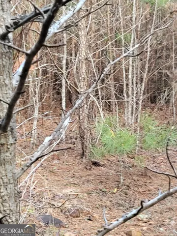 $349,999 | 0 Kendall Drive, Thomaston, GA 30286