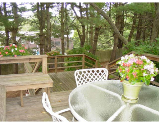 17 Ober Road Newton, MA 02459 - Photo 15 of 16