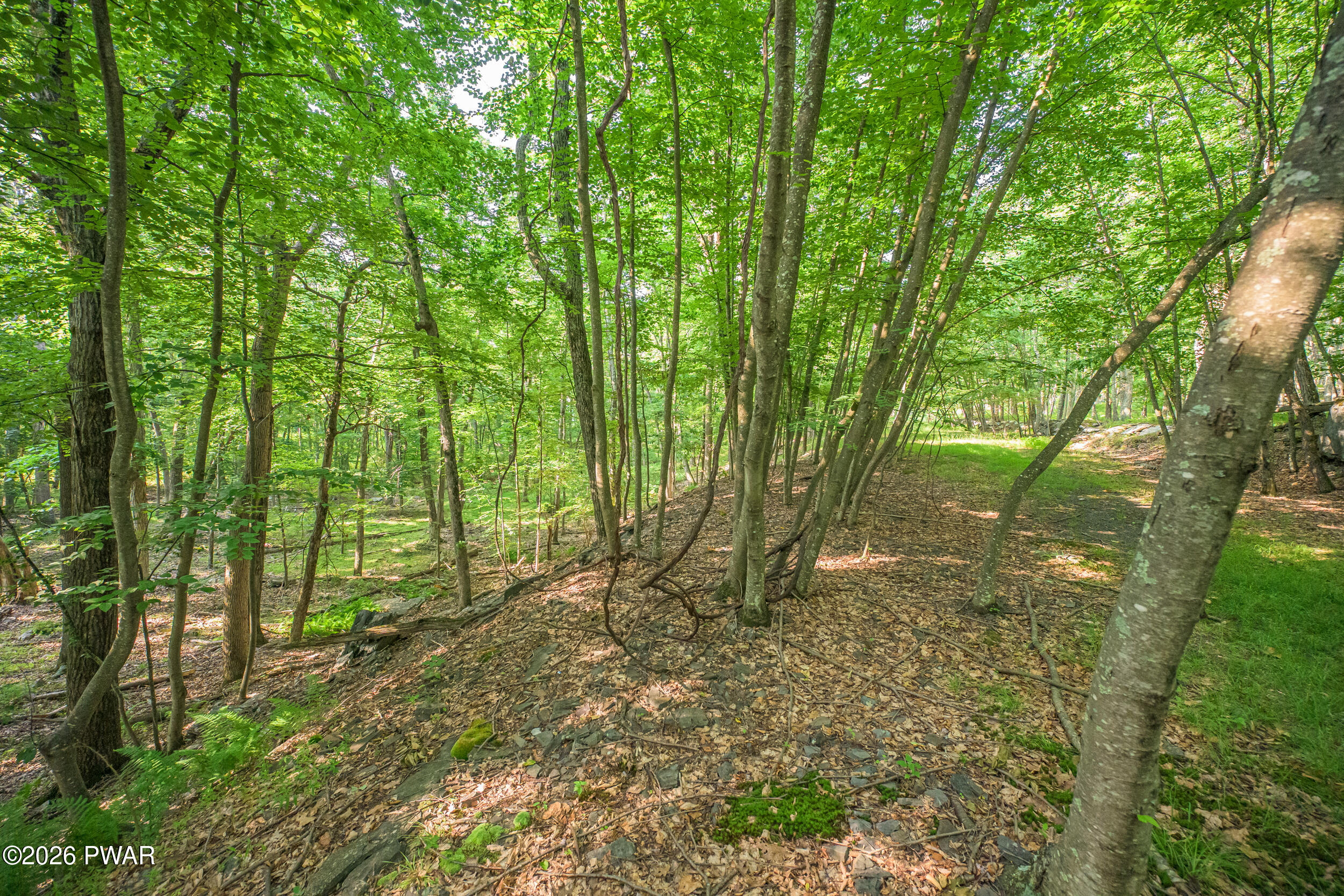 High Ridge Dingmans Ferry, PA 18328 - Photo 37 of 63