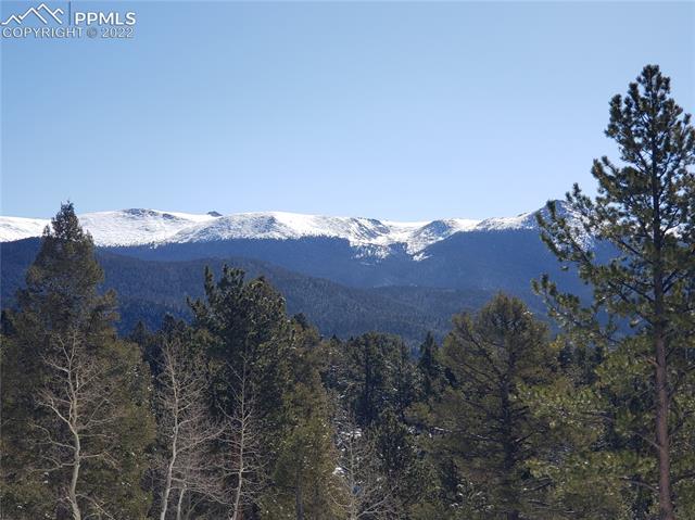548 Paradiso Road Divide, CO 80814 - Photo 2 of 37 Pikes Peak